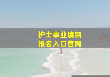 护士事业编制报名入口官网