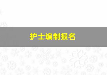 护士编制报名