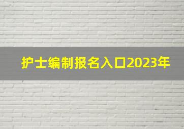 护士编制报名入口2023年