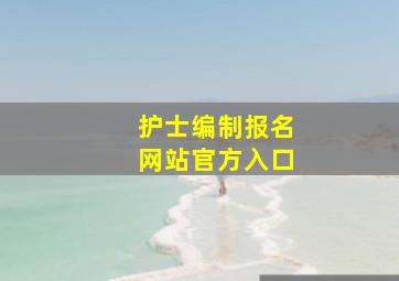 护士编制报名网站官方入口