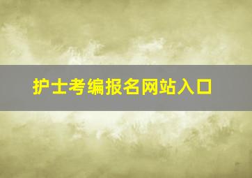 护士考编报名网站入口