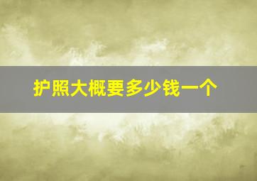 护照大概要多少钱一个