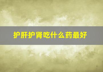 护肝护肾吃什么药最好