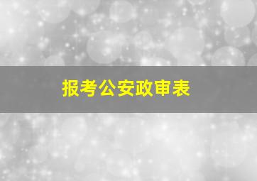 报考公安政审表