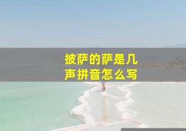 披萨的萨是几声拼音怎么写