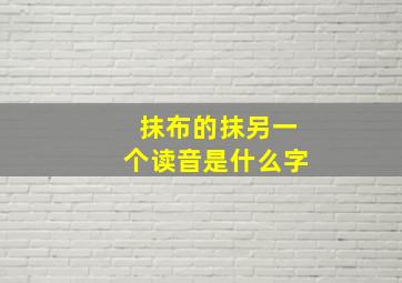 抹布的抹另一个读音是什么字