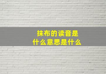 抹布的读音是什么意思是什么