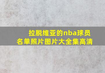 拉脱维亚的nba球员名单照片图片大全集高清