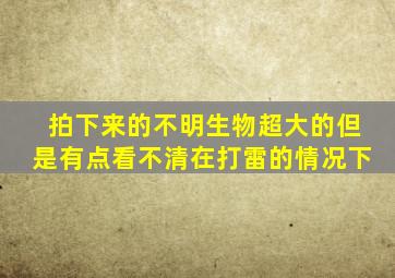 拍下来的不明生物超大的但是有点看不清在打雷的情况下