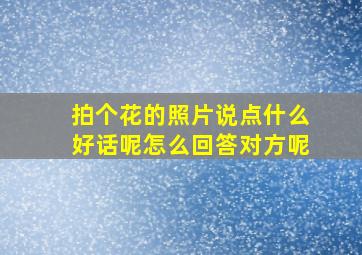 拍个花的照片说点什么好话呢怎么回答对方呢