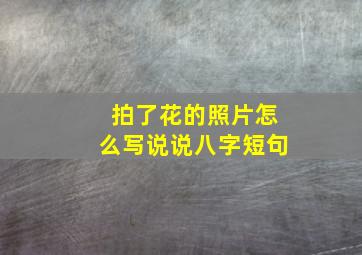 拍了花的照片怎么写说说八字短句