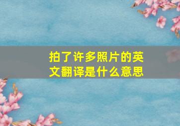 拍了许多照片的英文翻译是什么意思