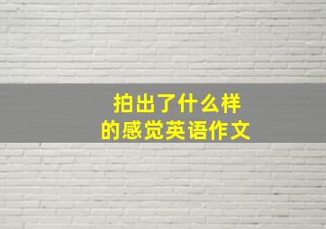 拍出了什么样的感觉英语作文