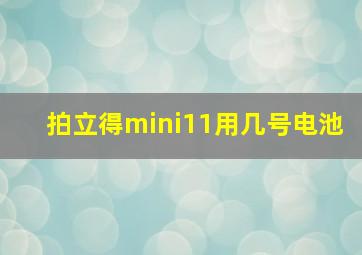 拍立得mini11用几号电池