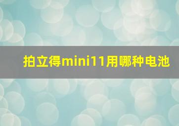 拍立得mini11用哪种电池