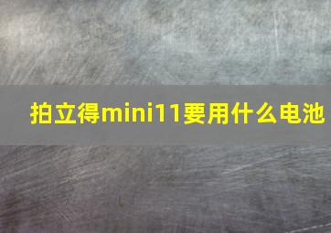 拍立得mini11要用什么电池