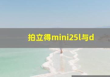 拍立得mini25l与d