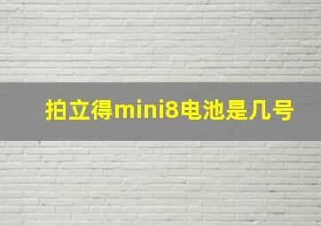 拍立得mini8电池是几号