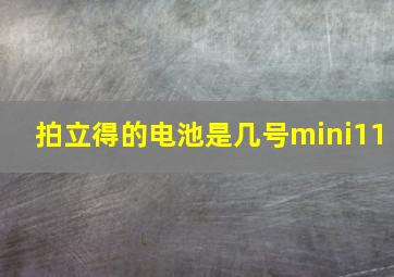 拍立得的电池是几号mini11