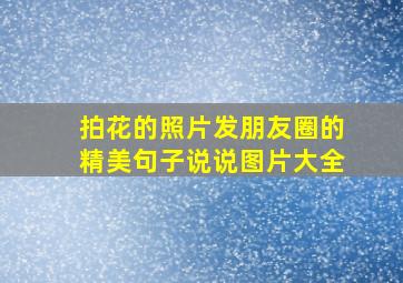 拍花的照片发朋友圈的精美句子说说图片大全