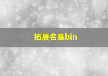 拓展名是bin