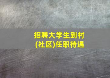 招聘大学生到村(社区)任职待遇