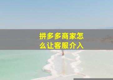 拼多多商家怎么让客服介入