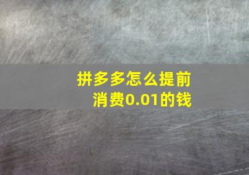 拼多多怎么提前消费0.01的钱