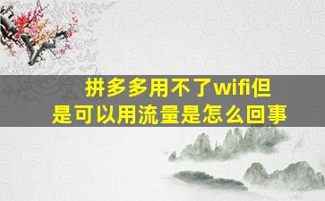 拼多多用不了wifi但是可以用流量是怎么回事