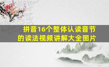 拼音16个整体认读音节的读法视频讲解大全图片