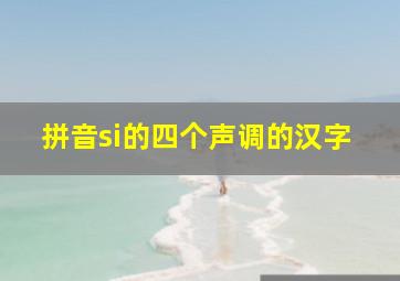 拼音si的四个声调的汉字