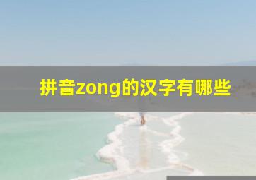 拼音zong的汉字有哪些