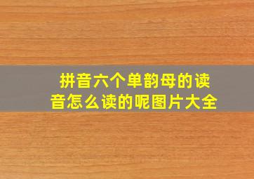 拼音六个单韵母的读音怎么读的呢图片大全