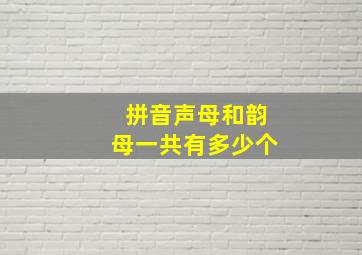 拼音声母和韵母一共有多少个