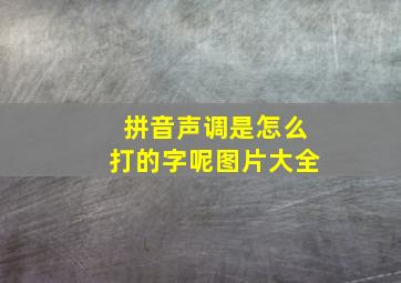 拼音声调是怎么打的字呢图片大全