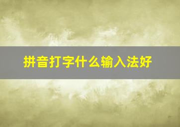 拼音打字什么输入法好