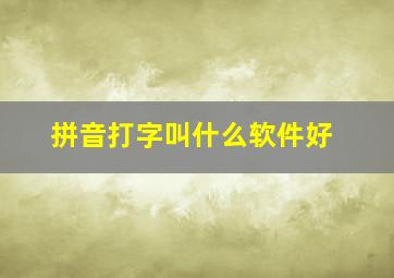 拼音打字叫什么软件好