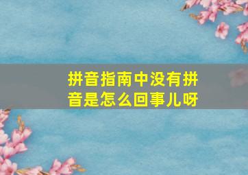 拼音指南中没有拼音是怎么回事儿呀