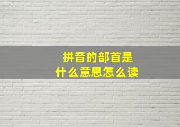 拼音的部首是什么意思怎么读