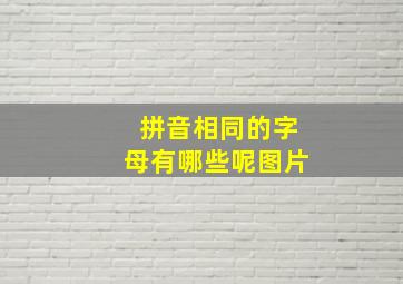 拼音相同的字母有哪些呢图片