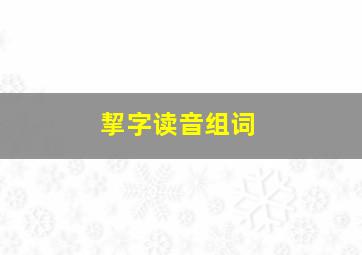 挈字读音组词