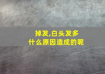 掉发,白头发多什么原因造成的呢