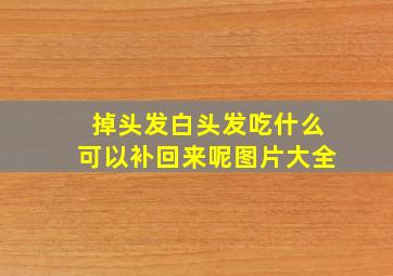 掉头发白头发吃什么可以补回来呢图片大全