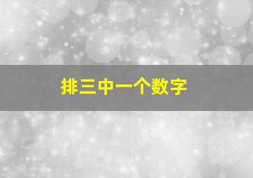 排三中一个数字