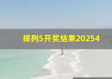 排列5开奖结果20254