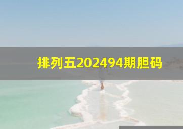 排列五202494期胆码