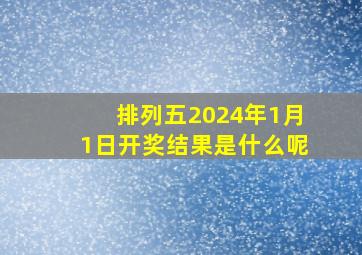 排列五2024年1月1日开奖结果是什么呢