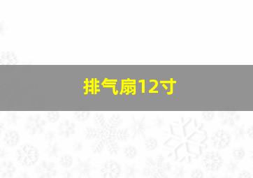 排气扇12寸