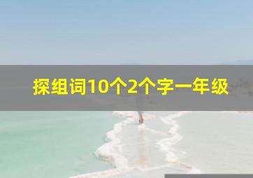 探组词10个2个字一年级