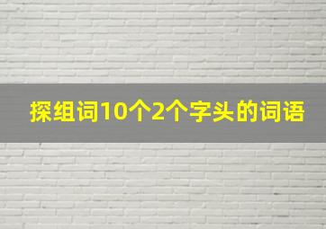 探组词10个2个字头的词语